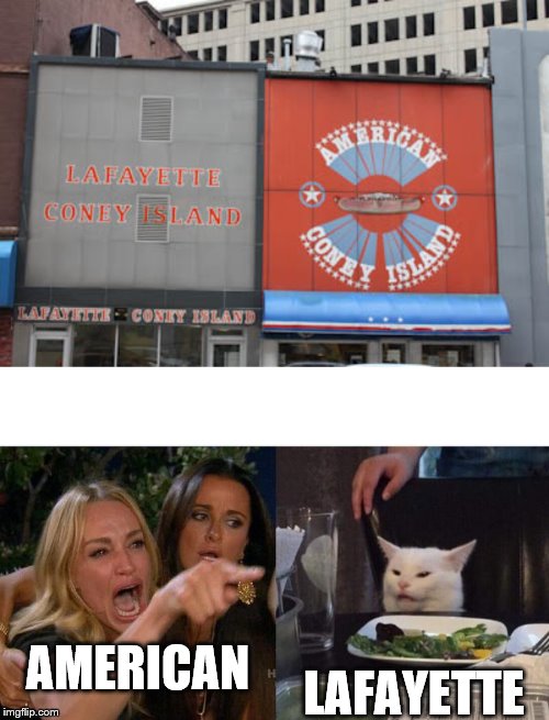 AMERICAN; LAFAYETTE | image tagged in memes,woman yelling at cat | made w/ Imgflip meme maker