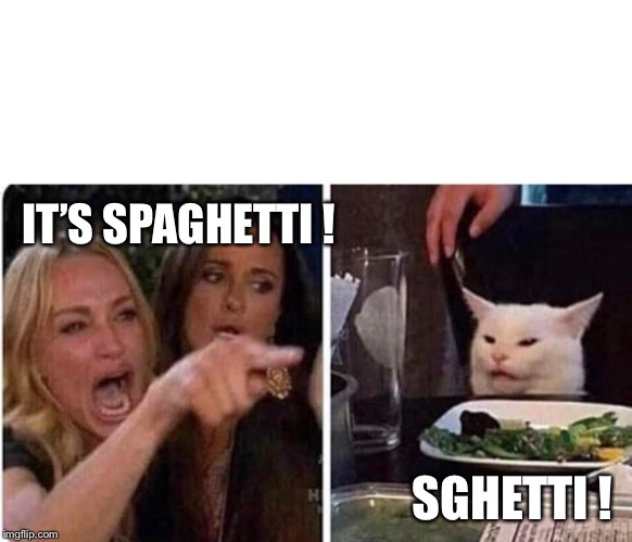Lady screams at cat | IT’S SPAGHETTI ! SGHETTI ! | image tagged in lady screams at cat | made w/ Imgflip meme maker
