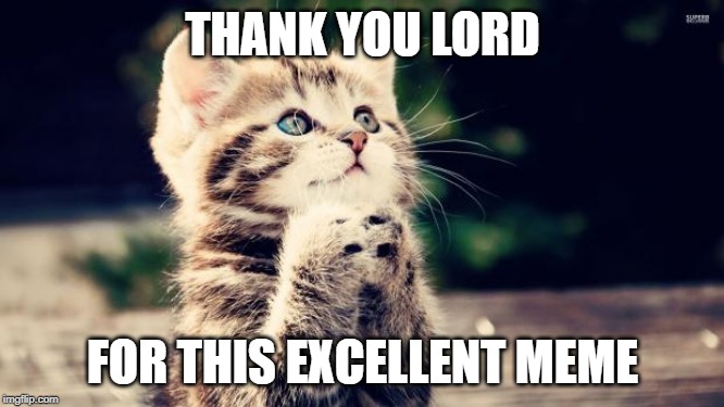 Thank you Lord | THANK YOU LORD; FOR THIS EXCELLENT MEME | image tagged in thank you lord | made w/ Imgflip meme maker