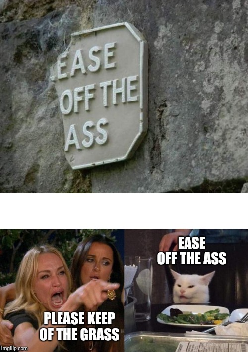 My first "Woman yelling at cat" meme | EASE OFF THE ASS; PLEASE KEEP OF THE GRASS | image tagged in memes,woman yelling at cat,funny | made w/ Imgflip meme maker
