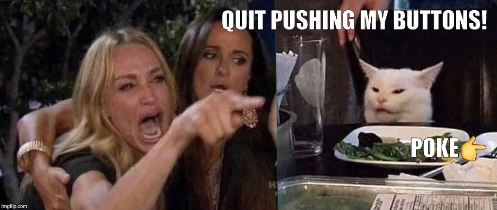 woman yelling at cat | QUIT PUSHING MY BUTTONS! POKE👉 | image tagged in woman yelling at cat | made w/ Imgflip meme maker