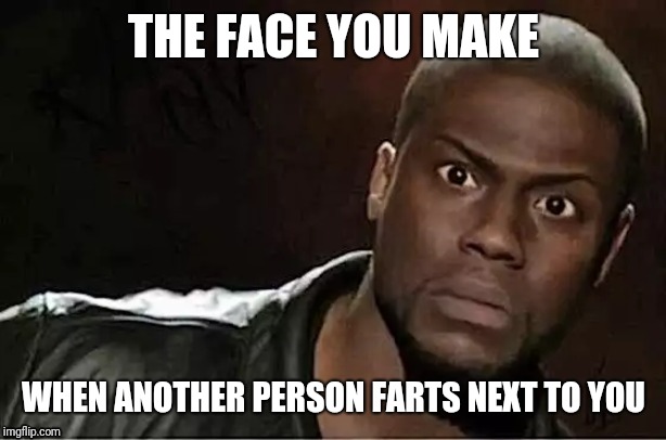 Kevin Hart Meme | THE FACE YOU MAKE; WHEN ANOTHER PERSON FARTS NEXT TO YOU | image tagged in memes,kevin hart | made w/ Imgflip meme maker