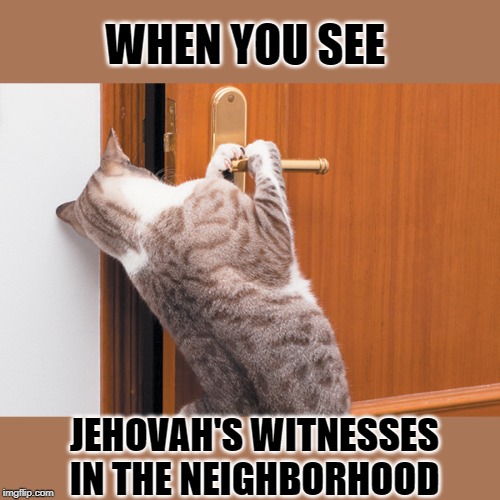 Afraid to go out | WHEN YOU SEE; JEHOVAH'S WITNESSES IN THE NEIGHBORHOOD | image tagged in cats,meme,jehovah's witness | made w/ Imgflip meme maker