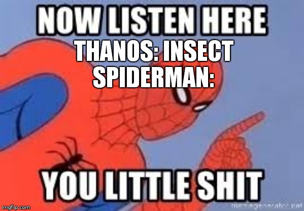 Now listen you little shit |  THANOS: INSECT
SPIDERMAN: | image tagged in now listen you little shit | made w/ Imgflip meme maker