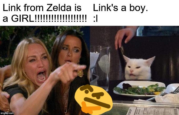 Woman Yelling At Cat | Link from Zelda is 
a GIRL!!!!!!!!!!!!!!!!!!! Link's a boy. 
:l | image tagged in memes,woman yelling at cat | made w/ Imgflip meme maker