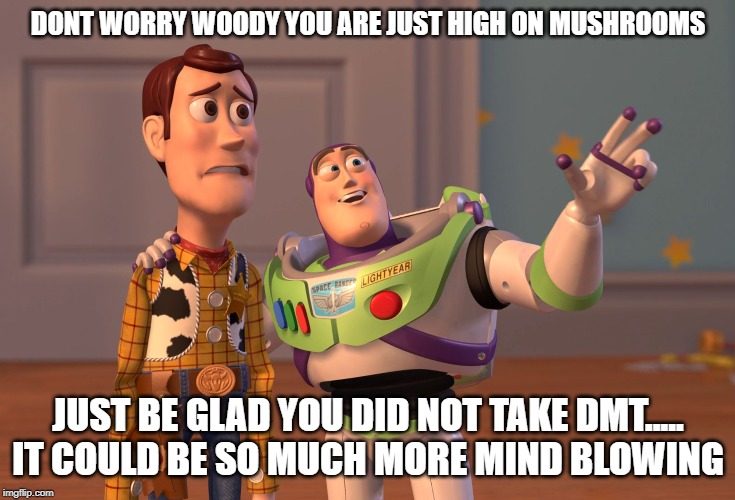 do not fear what is out there | DONT WORRY WOODY YOU ARE JUST HIGH ON MUSHROOMS; JUST BE GLAD YOU DID NOT TAKE DMT..... IT COULD BE SO MUCH MORE MIND BLOWING | image tagged in memes,x x everywhere,funny | made w/ Imgflip meme maker