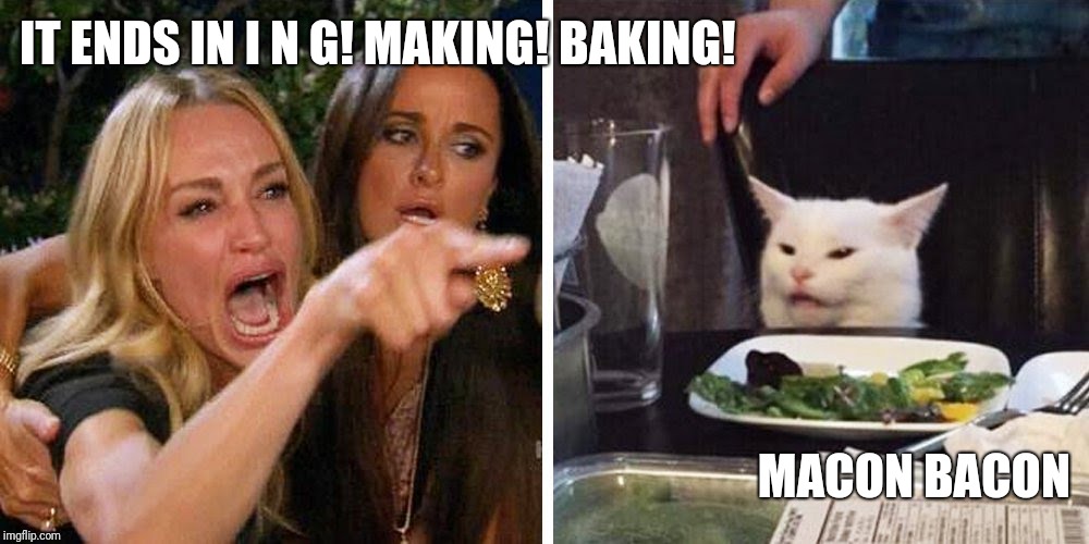 Smudge the cat | IT ENDS IN I N G! MAKING! BAKING! MACON BACON | image tagged in smudge the cat | made w/ Imgflip meme maker