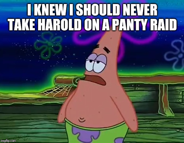 Patrick Star Take It Or Leave | I KNEW I SHOULD NEVER TAKE HAROLD ON A PANTY RAID | image tagged in patrick star take it or leave | made w/ Imgflip meme maker