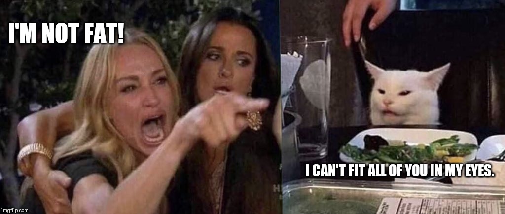 woman yelling at cat | I'M NOT FAT! I CAN'T FIT ALL OF YOU IN MY EYES. | image tagged in woman yelling at cat | made w/ Imgflip meme maker