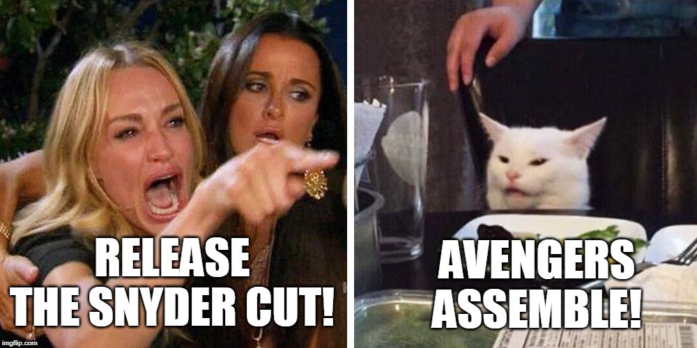 Smudge the cat | AVENGERS ASSEMBLE! RELEASE THE SNYDER CUT! | image tagged in smudge the cat | made w/ Imgflip meme maker