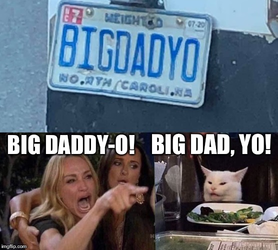 BIG DAD, YO! BIG DADDY-O! | image tagged in woman yelling at cat | made w/ Imgflip meme maker