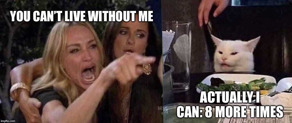 woman yelling at cat | YOU CAN’T LIVE WITHOUT ME; ACTUALLY I CAN: 8 MORE TIMES | image tagged in woman yelling at cat,cats,breakup | made w/ Imgflip meme maker