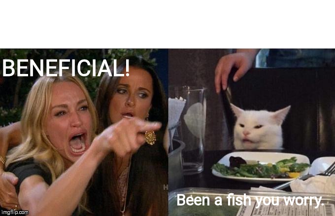 Woman Yelling At Cat | BENEFICIAL! Been a fish you worry. | image tagged in memes,woman yelling at cat | made w/ Imgflip meme maker