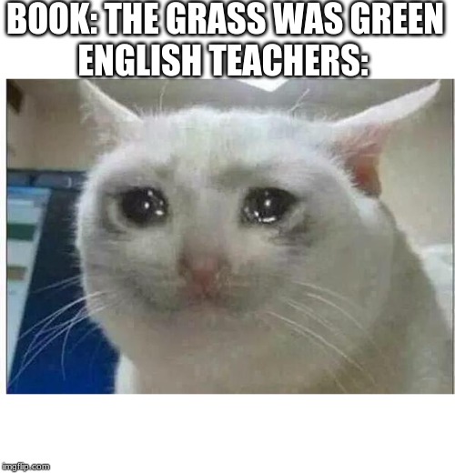 crying cat | BOOK: THE GRASS WAS GREEN; ENGLISH TEACHERS: | image tagged in crying cat | made w/ Imgflip meme maker