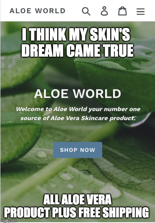 I THINK MY SKIN'S  DREAM CAME TRUE; ALL ALOE VERA PRODUCT PLUS FREE SHIPPING | made w/ Imgflip meme maker