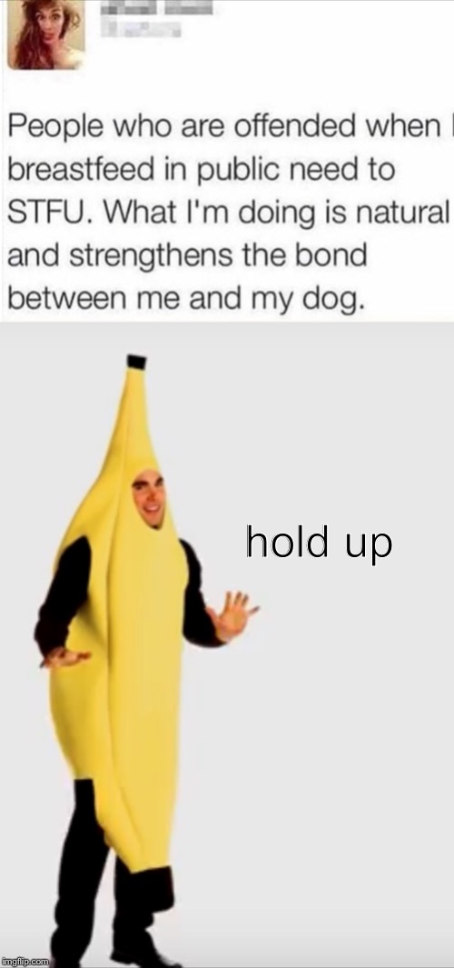 H O L D   U P | hold up | image tagged in banana,hold up,costume,dog,funny,too many tags | made w/ Imgflip meme maker