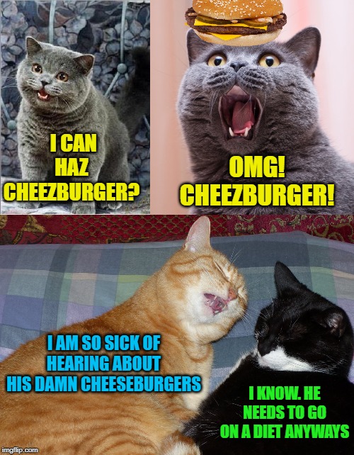 Cat complaint | OMG! CHEEZBURGER! I CAN HAZ CHEEZBURGER? I AM SO SICK OF HEARING ABOUT HIS DAMN CHEESEBURGERS; I KNOW. HE NEEDS TO GO ON A DIET ANYWAYS | image tagged in cheezeburger,cats,funny memes,cat memes | made w/ Imgflip meme maker