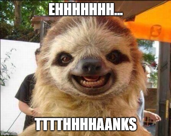Smile sloth | EHHHHHHH... TTTTHHHHAANKS | image tagged in smile sloth | made w/ Imgflip meme maker