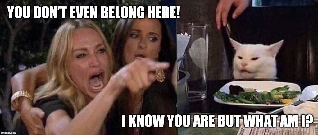 woman yelling at cat | YOU DON’T EVEN BELONG HERE! I KNOW YOU ARE BUT WHAT AM I? | image tagged in woman yelling at cat | made w/ Imgflip meme maker