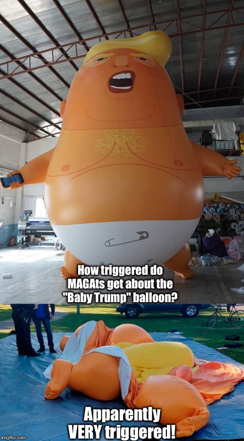 A MAGAt is in custody for destroying a "Baby Trump" balloon | How triggered do MAGAts get about the "Baby Trump" balloon? Apparently VERY triggered! | image tagged in baby trump | made w/ Imgflip meme maker