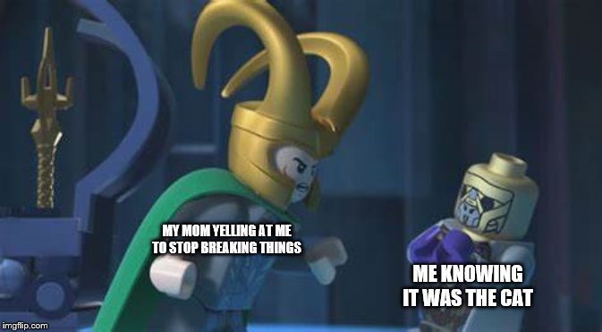 The cat did it | MY MOM YELLING AT ME TO STOP BREAKING THINGS; ME KNOWING IT WAS THE CAT | image tagged in loki yells at chitauri,mom,angry | made w/ Imgflip meme maker