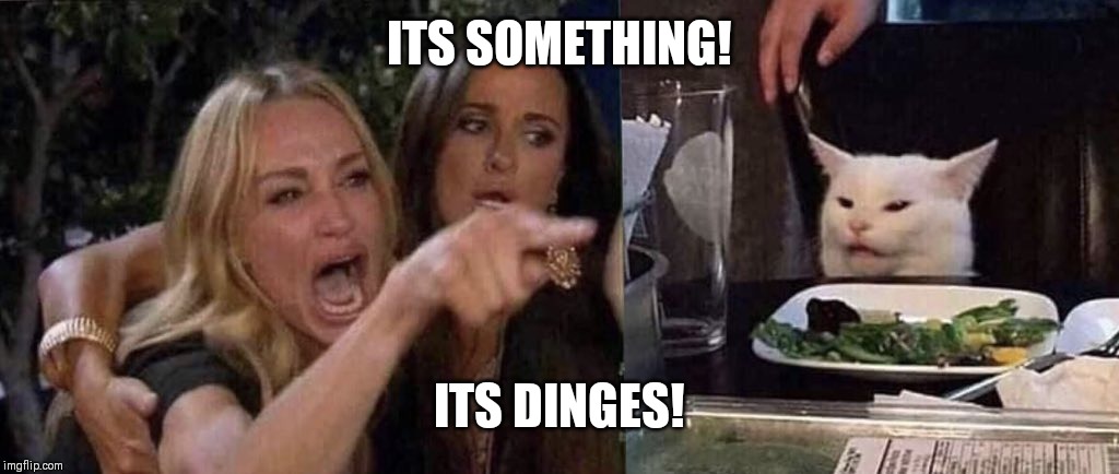 woman yelling at cat | ITS SOMETHING! ITS DINGES! | image tagged in woman yelling at cat | made w/ Imgflip meme maker