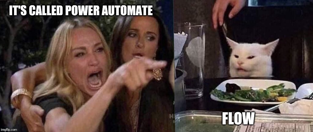 woman yelling at cat | IT'S CALLED POWER AUTOMATE; FLOW | image tagged in woman yelling at cat | made w/ Imgflip meme maker