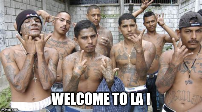 LA CA | WELCOME TO LA ! | image tagged in la ca | made w/ Imgflip meme maker