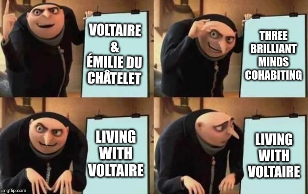 Gru's Plan Meme | VOLTAIRE & ÉMILIE DU CHÂTELET; THREE BRILLIANT MINDS COHABITING; LIVING WITH VOLTAIRE; LIVING WITH VOLTAIRE | image tagged in gru's plan | made w/ Imgflip meme maker