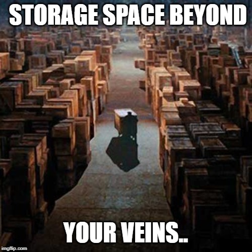 LOUD_VOICE | STORAGE SPACE BEYOND YOUR VEINS.. | image tagged in loud_voice | made w/ Imgflip meme maker