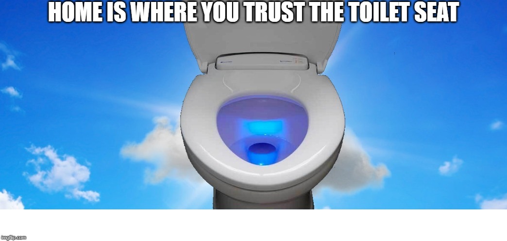 High Quality Toilet Seat Home Blank Meme Template