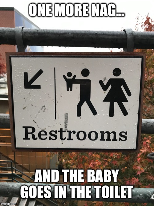 Throwing Out the Baby | ONE MORE NAG... AND THE BABY GOES IN THE TOILET | image tagged in throwing out the baby | made w/ Imgflip meme maker
