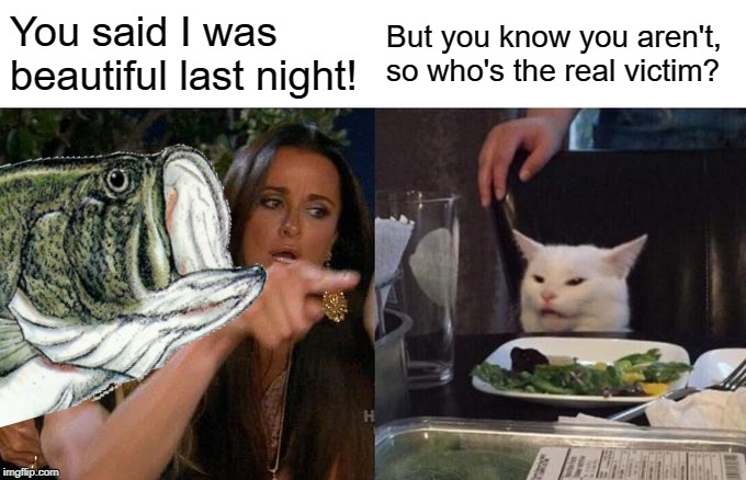 Woman Yelling At Cat Meme | You said I was beautiful last night! But you know you aren't, so who's the real victim? | image tagged in memes,woman yelling at cat | made w/ Imgflip meme maker