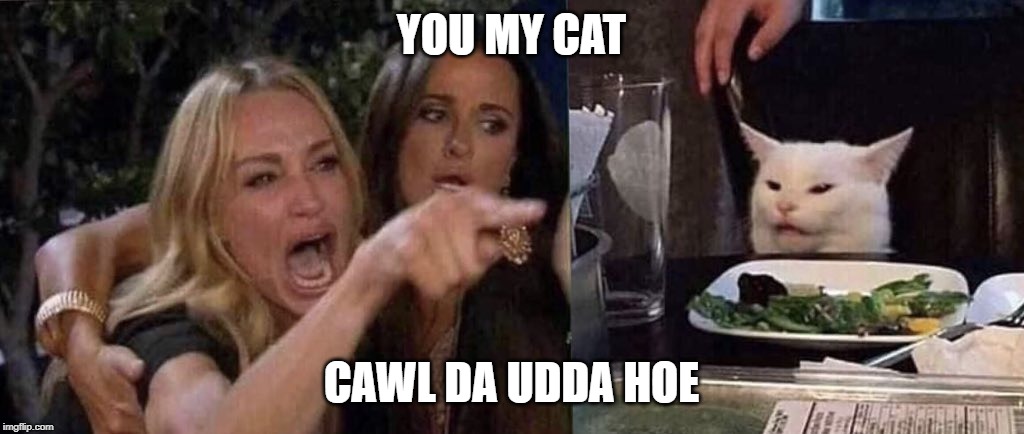 woman yelling at cat | YOU MY CAT; CAWL DA UDDA HOE | image tagged in woman yelling at cat | made w/ Imgflip meme maker