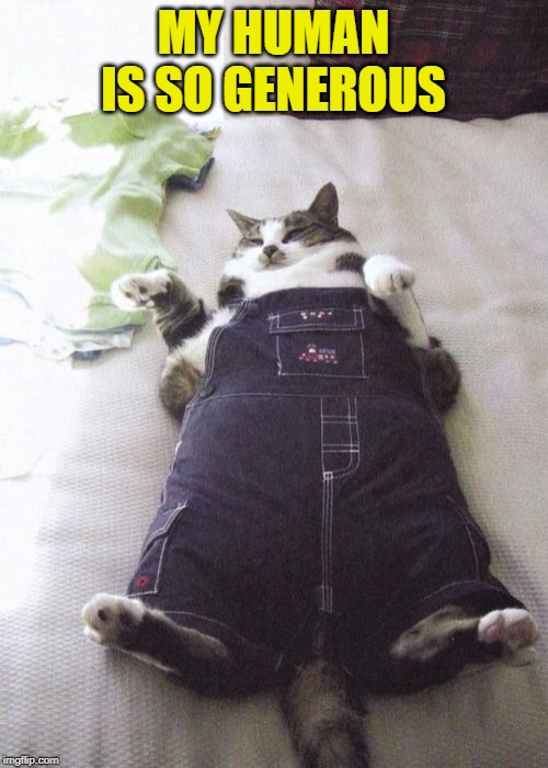 Fat Cat Meme | MY HUMAN IS SO GENEROUS | image tagged in memes,fat cat | made w/ Imgflip meme maker