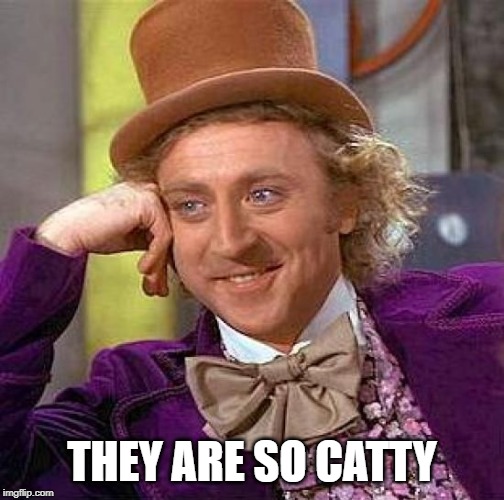 Creepy Condescending Wonka Meme | THEY ARE SO CATTY | image tagged in memes,creepy condescending wonka | made w/ Imgflip meme maker