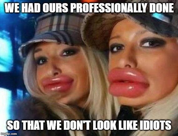Duck Face Chicks Meme | WE HAD OURS PROFESSIONALLY DONE SO THAT WE DON'T LOOK LIKE IDIOTS | image tagged in memes,duck face chicks | made w/ Imgflip meme maker