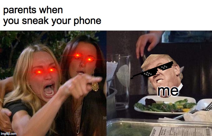 Woman Yelling At Cat Meme | parents when you sneak your phone; me | image tagged in memes,woman yelling at cat | made w/ Imgflip meme maker