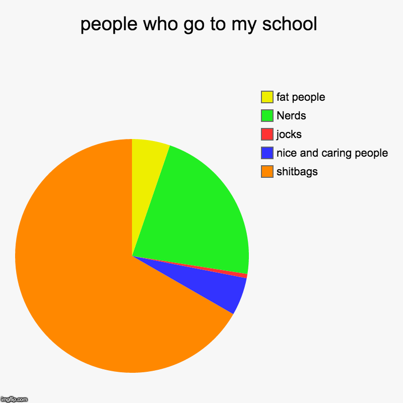 people who go to my school | shitbags, nice and caring people, jocks, Nerds, fat people | image tagged in charts,pie charts | made w/ Imgflip chart maker