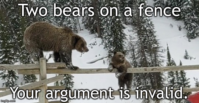 two bears on a fence | Two bears on a fence; Your argument is invalid. | image tagged in two bears on a fence | made w/ Imgflip meme maker