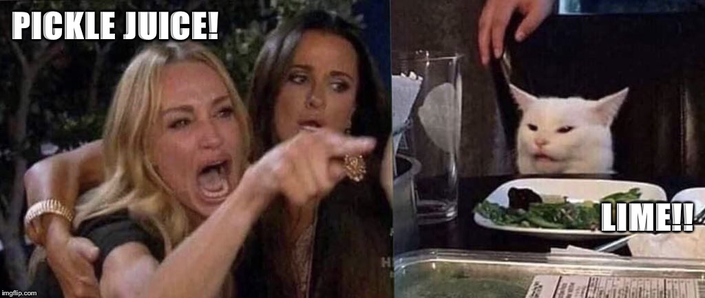 woman yelling at cat | PICKLE JUICE! LIME!! | image tagged in woman yelling at cat | made w/ Imgflip meme maker