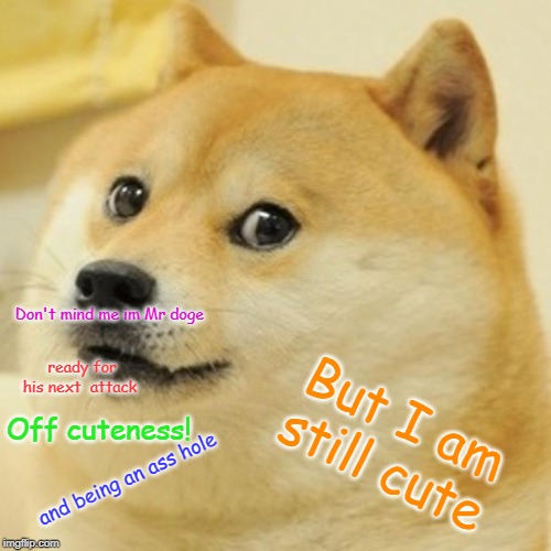 Don't mind me im Mr doge ready for his next  attack Off cuteness! and being an ass hole But I am still cute | image tagged in memes,doge | made w/ Imgflip meme maker