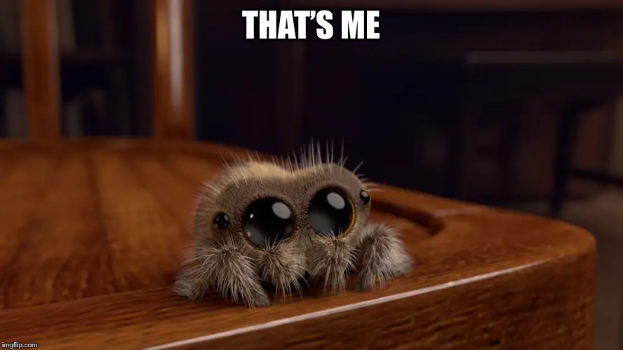 Lucas the Spider | THAT’S ME | image tagged in lucas the spider | made w/ Imgflip meme maker