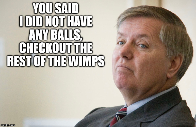 Lindsay Graham - smug | YOU SAID I DID NOT HAVE ANY BALLS, CHECKOUT THE REST OF THE WIMPS | image tagged in lindsay graham - smug | made w/ Imgflip meme maker