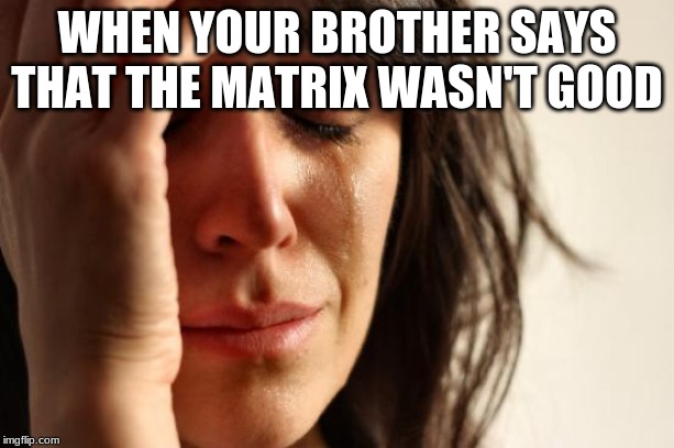 First World Problems | WHEN YOUR BROTHER SAYS THAT THE MATRIX WASN'T GOOD | image tagged in memes,first world problems | made w/ Imgflip meme maker