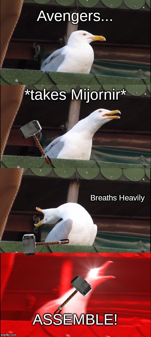 Inhaling Seagull Meme | Avengers... *takes Mijornir*; Breaths Heavily; ASSEMBLE! | image tagged in memes,inhaling seagull | made w/ Imgflip meme maker