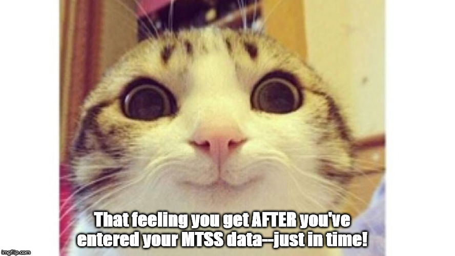 Esther | That feeling you get AFTER you've entered your MTSS data--just in time! | image tagged in esther | made w/ Imgflip meme maker