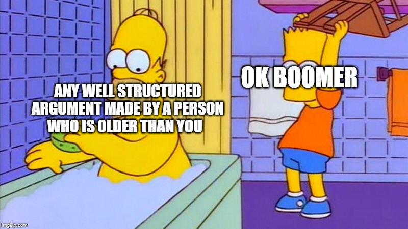 bart hitting homer with a chair | OK BOOMER; ANY WELL STRUCTURED ARGUMENT MADE BY A PERSON WHO IS OLDER THAN YOU | image tagged in bart hitting homer with a chair | made w/ Imgflip meme maker