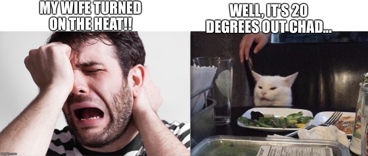 Whiny Guy | MY WIFE TURNED ON THE HEAT!! WELL, IT’S 20 DEGREES OUT CHAD... | image tagged in guy wines at cat,wife turned on heat,baby its cold outside,cats | made w/ Imgflip meme maker