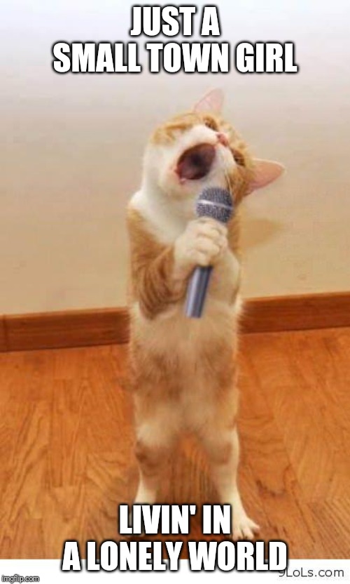 Cat Singer | JUST A SMALL TOWN GIRL; LIVIN' IN A LONELY WORLD | image tagged in cat singer | made w/ Imgflip meme maker